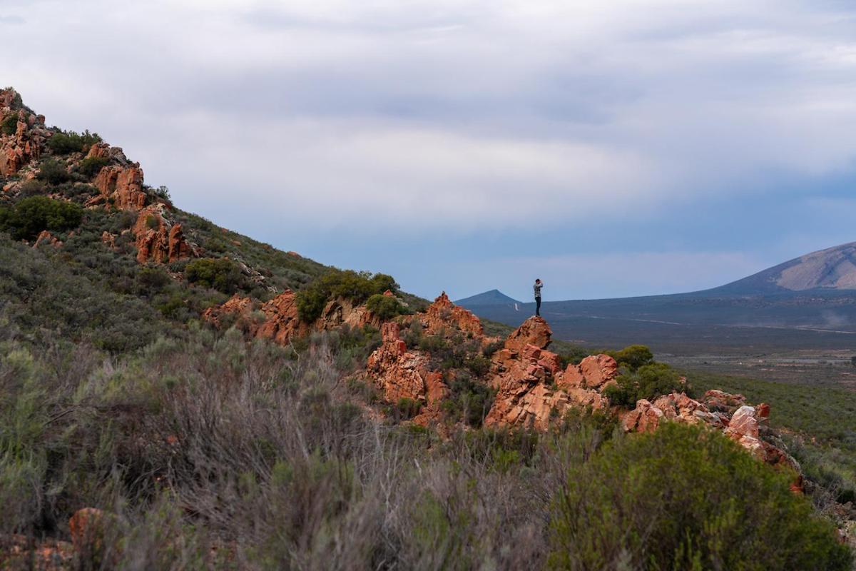Gecko Rock Private Nature Reserve Goedgemond Exterior foto